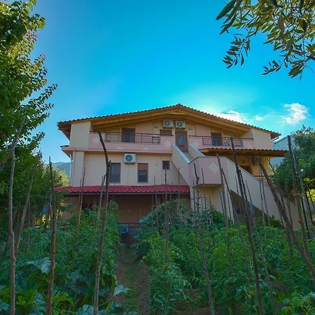 Aspa * קואינירה